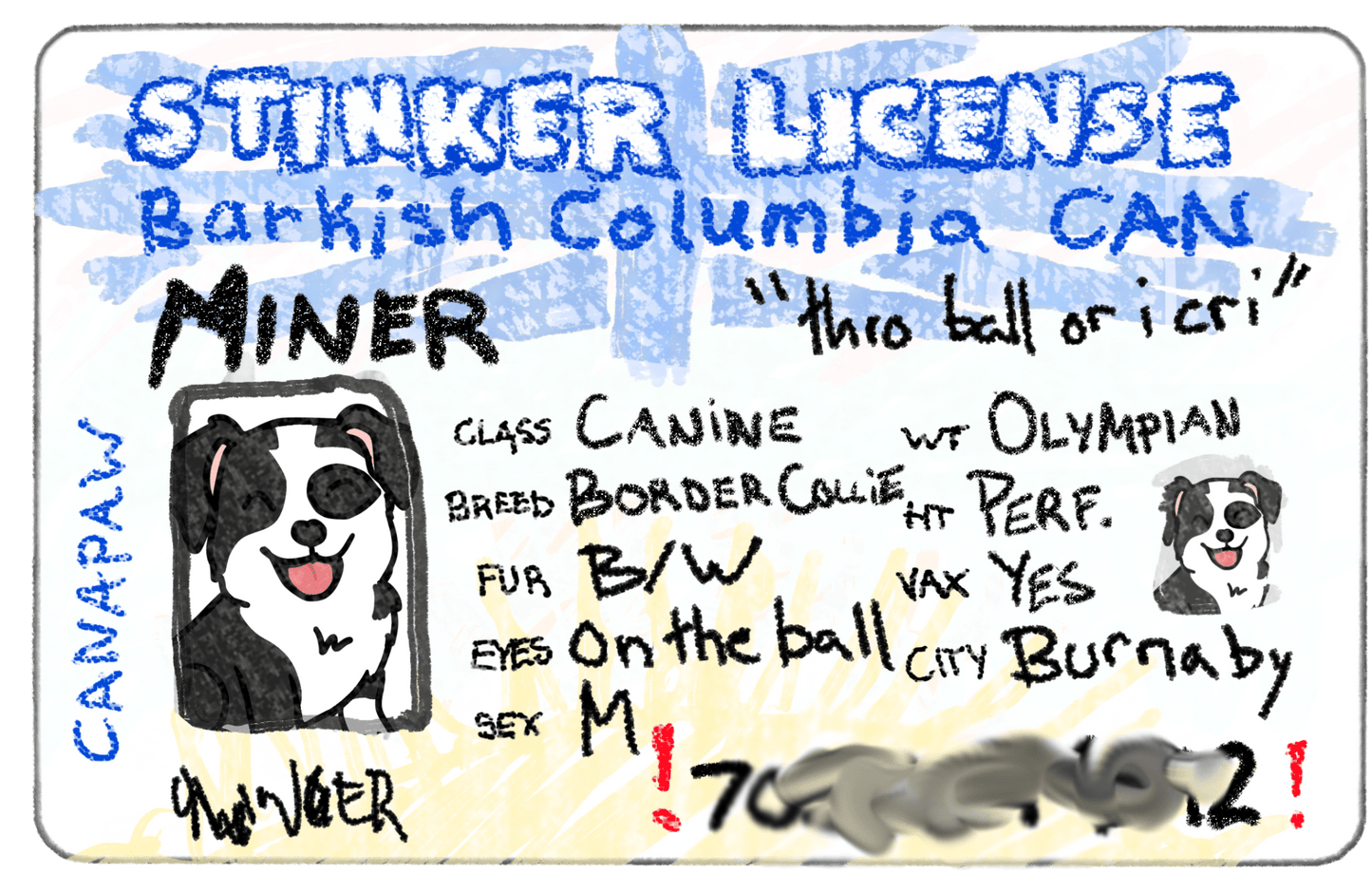 British Columbia driver's license collar charm - Lil Stinker Co.