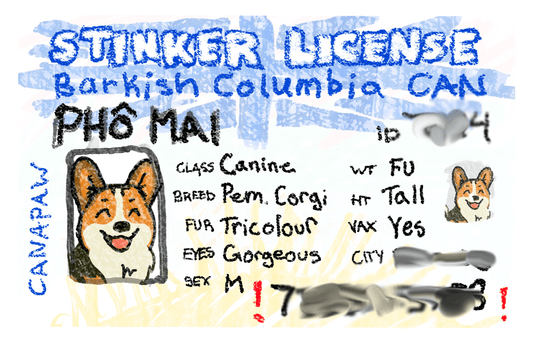 British Columbia driver's license collar charm - Lil Stinker Co.