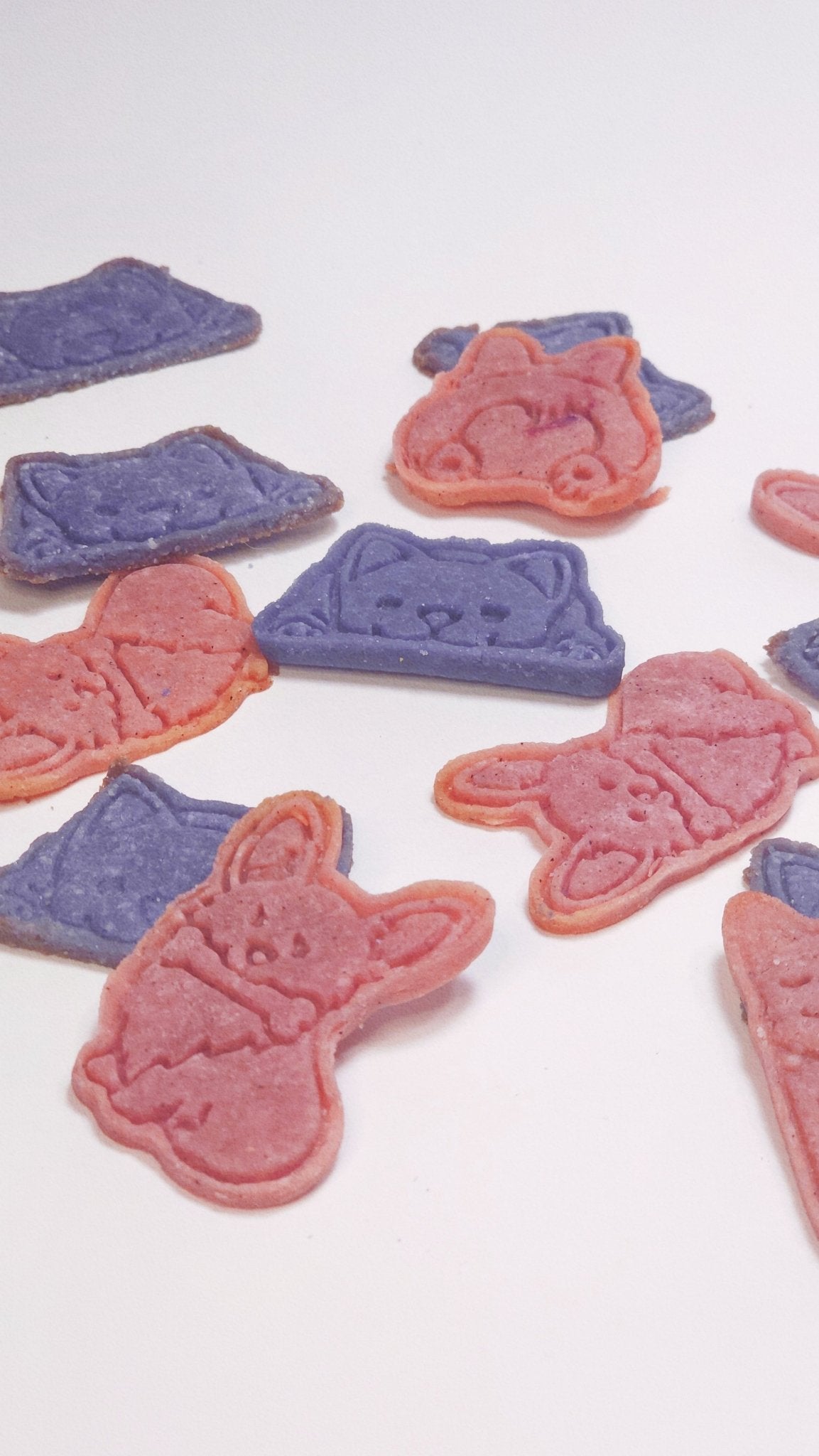 Oatrageously Tasty Cookies - Lil Stinker Apparel