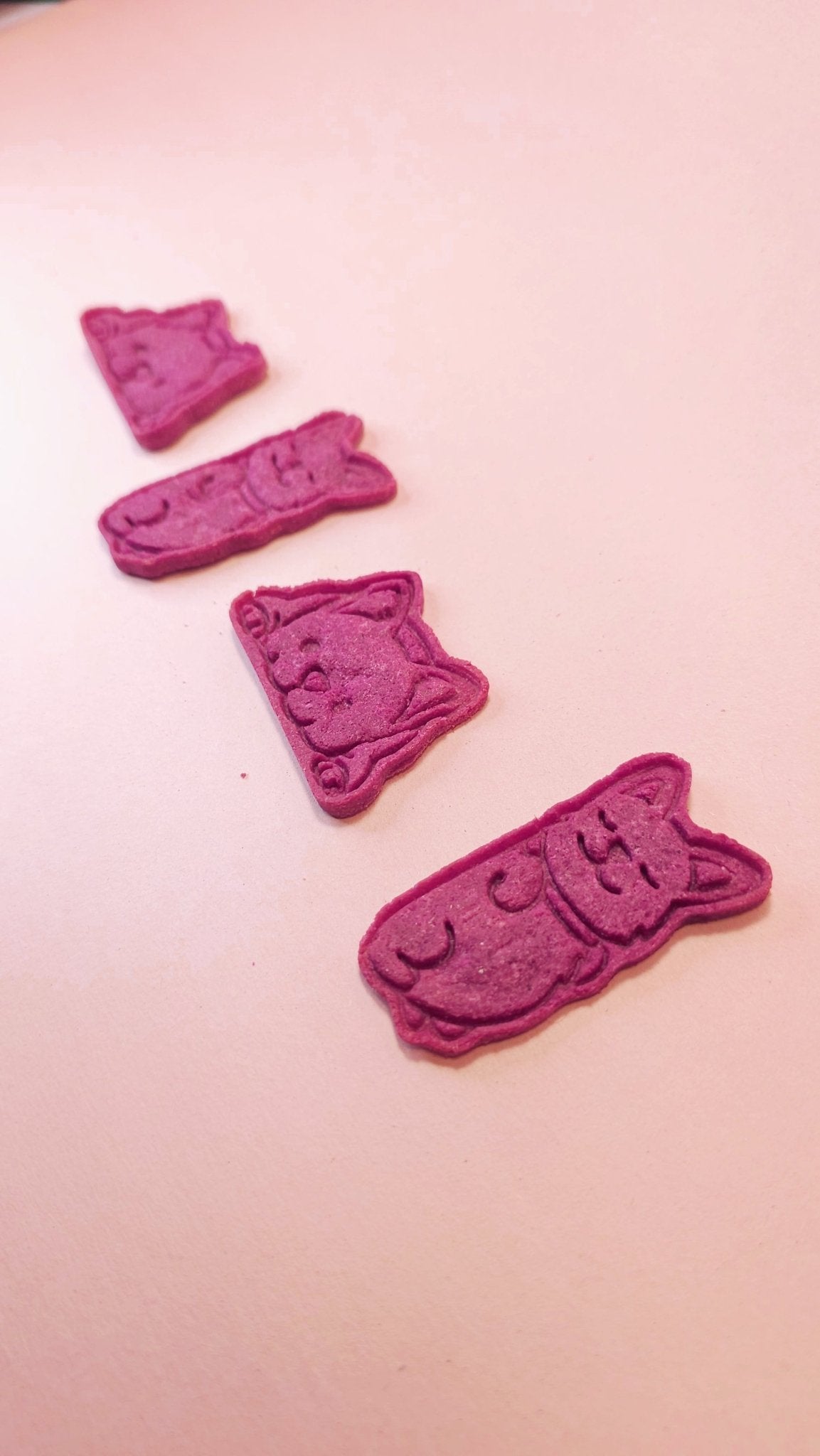 Rice & Tasty Cookies - Lil Stinker Co.