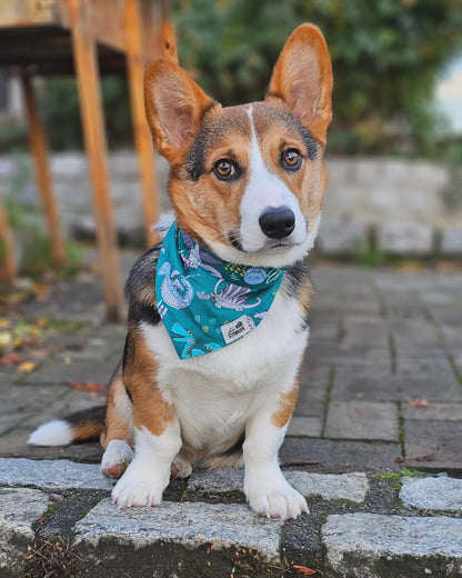 Ross Geller Bandana