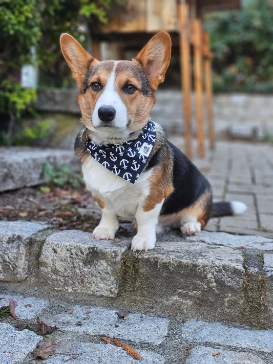 Anchors Away Bandana - Lil Stinker Apparel