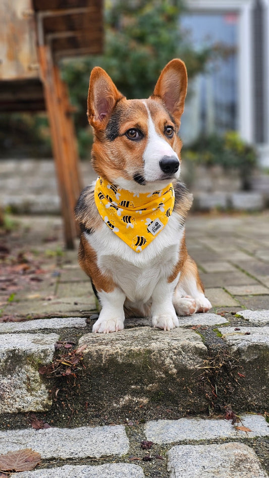 Bee Mine Bandana - Lil Stinker Apparel