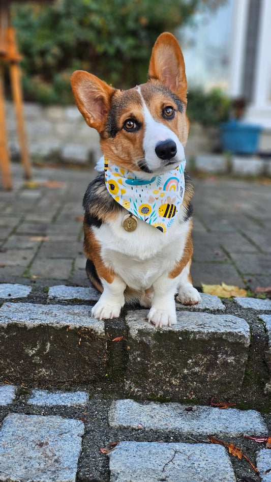 Bee My Friend Bandana - Lil Stinker Apparel