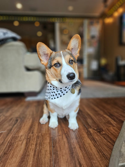 Black Polkadot Bandana - Lil Stinker Apparel