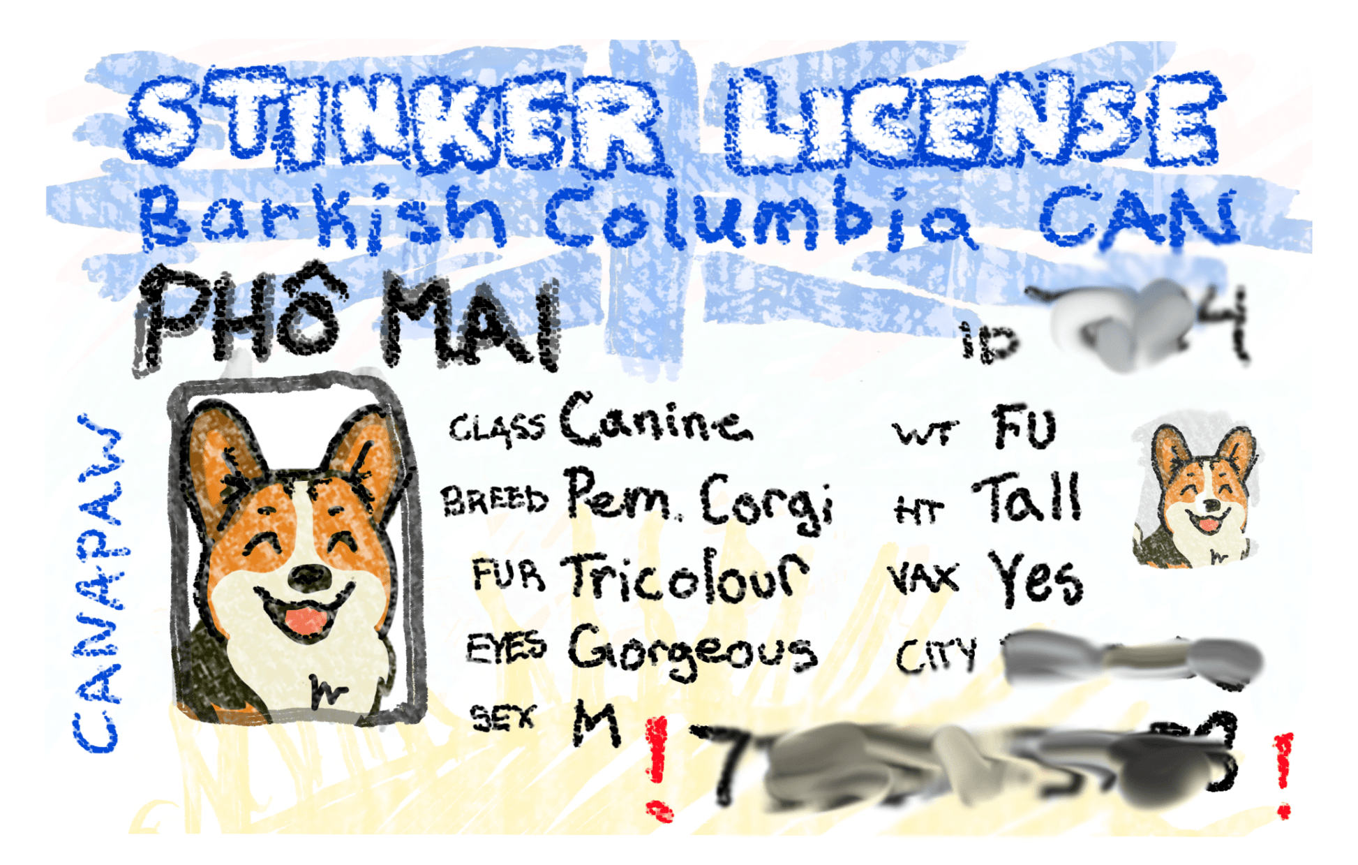 British Columbia driver's license collar charm - Lil Stinker Co.