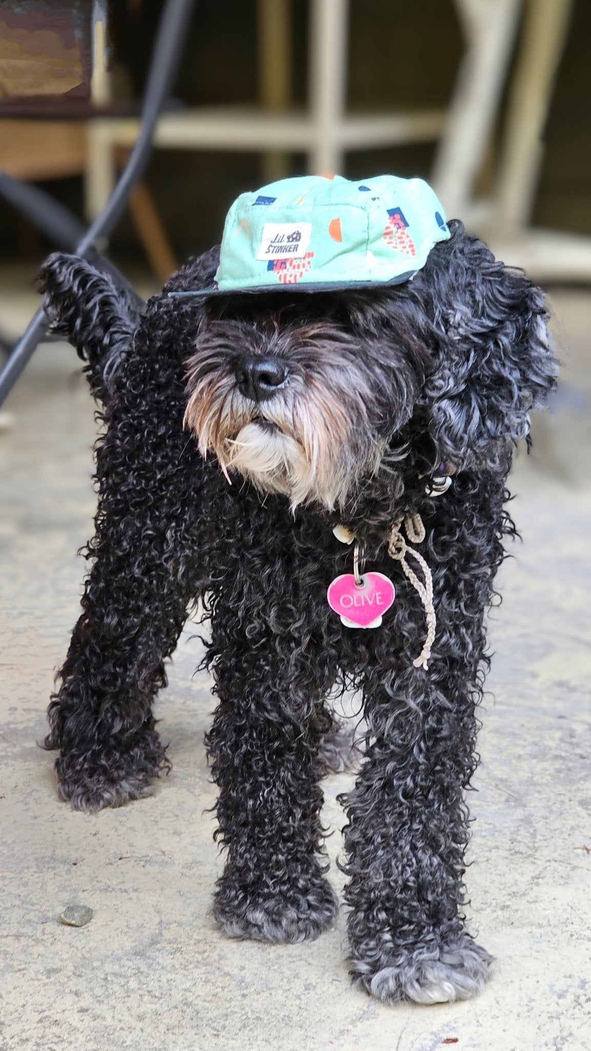 Chill Like Mint 5 Panel Hat - Lil Stinker Apparel