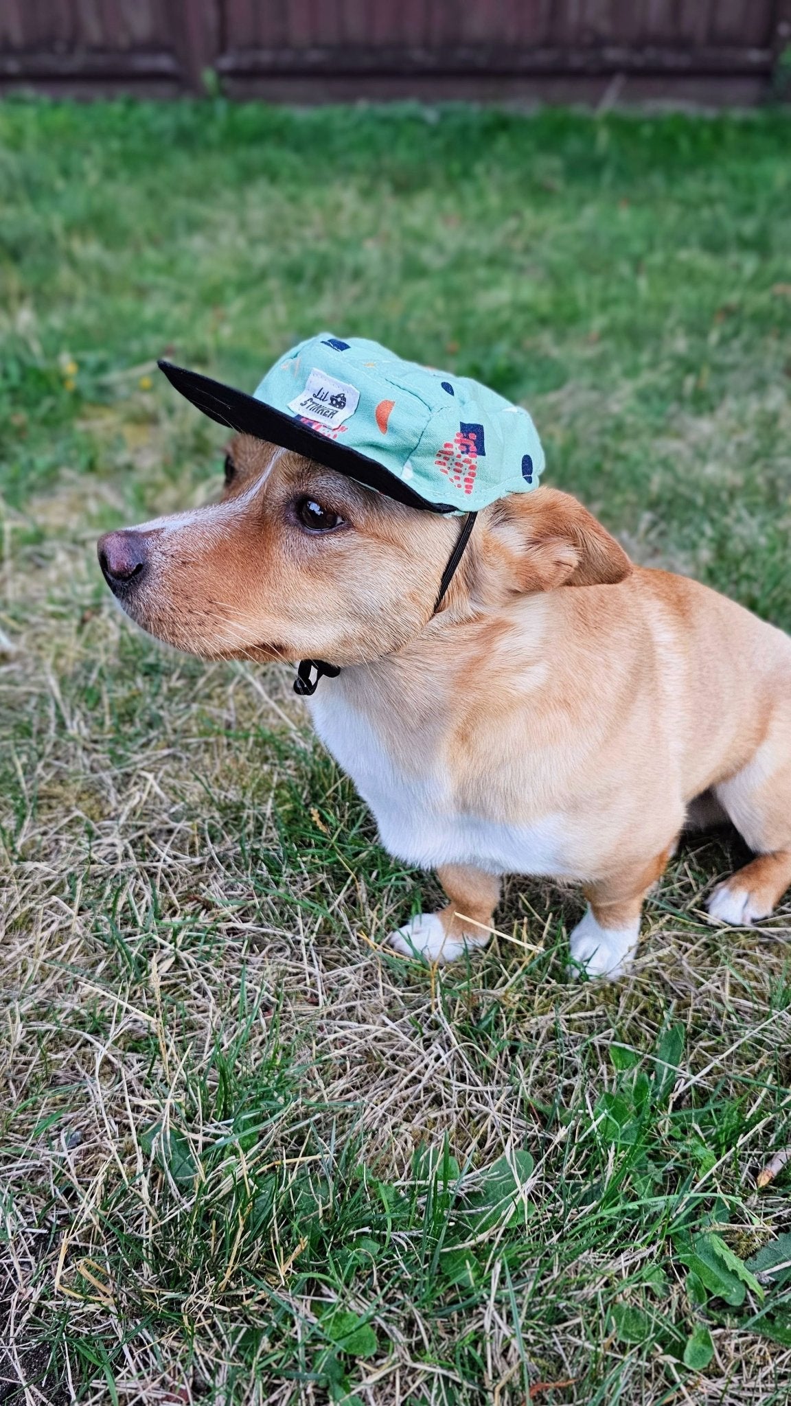 Chill Like Mint 5 Panel Hat - Lil Stinker Apparel