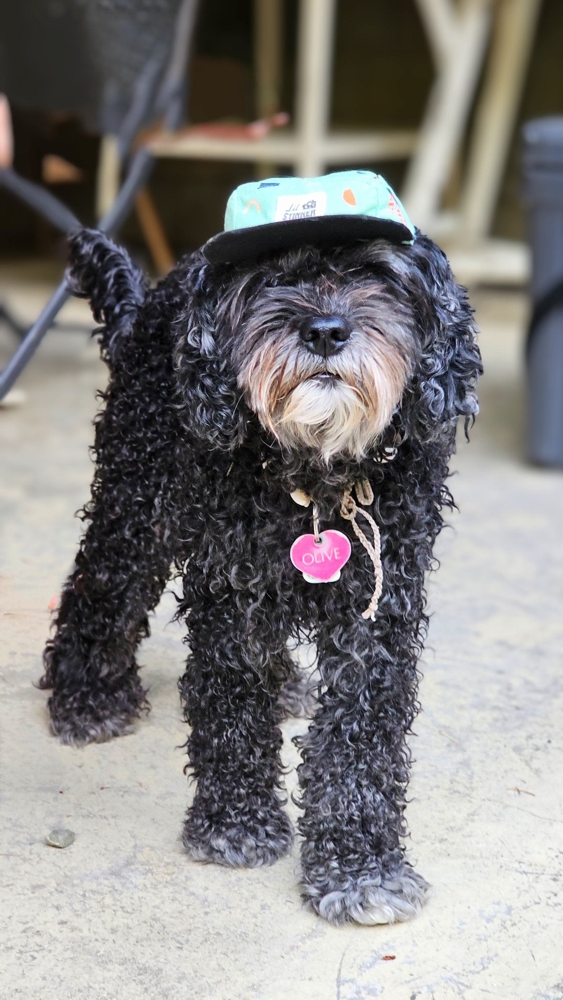 Chill Like Mint 5 Panel Hat - Lil Stinker Apparel