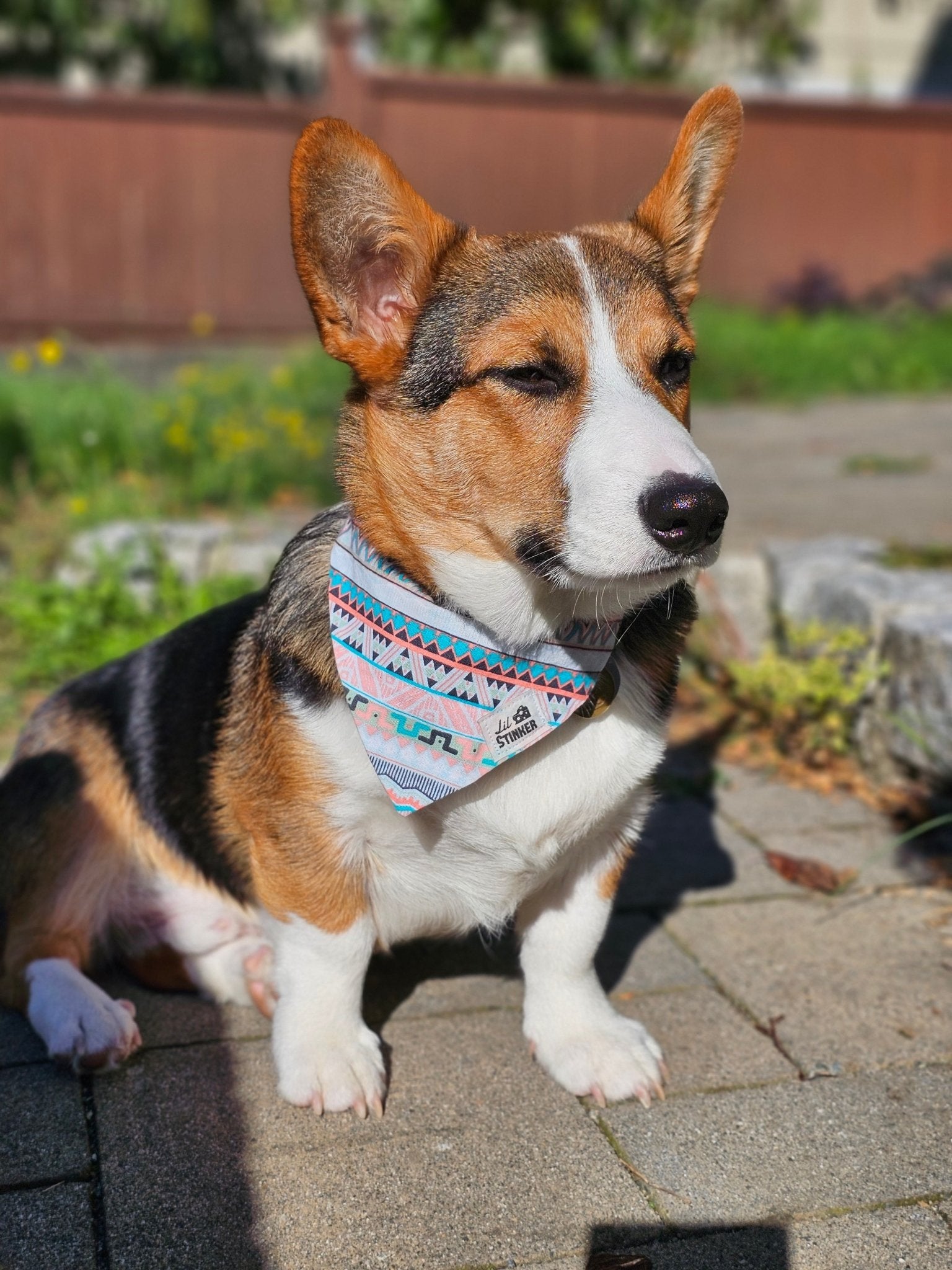 Desert Explorer Bandana - Lil Stinker Apparel