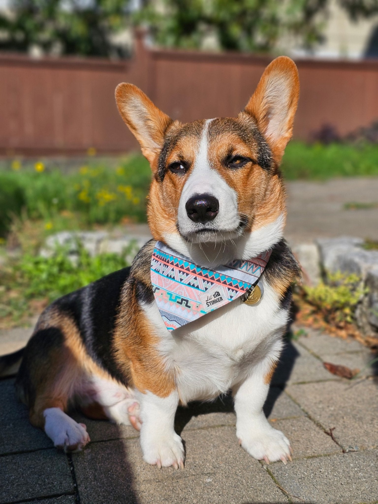 Desert Explorer Bandana - Lil Stinker Apparel