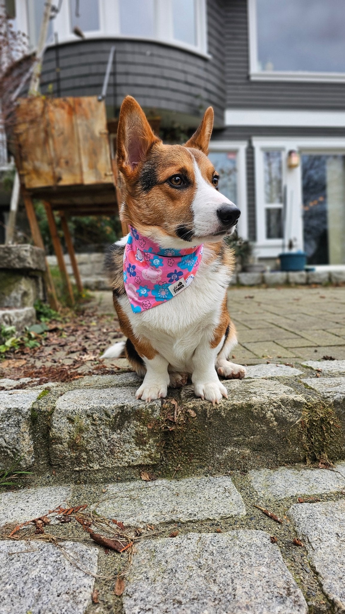 Flower Power Bandana - Lil Stinker Apparel