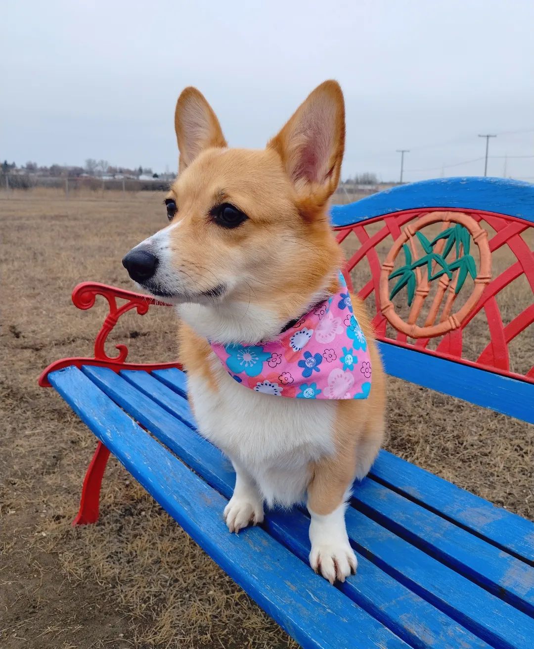 Flower Power Bandana - Lil Stinker Apparel