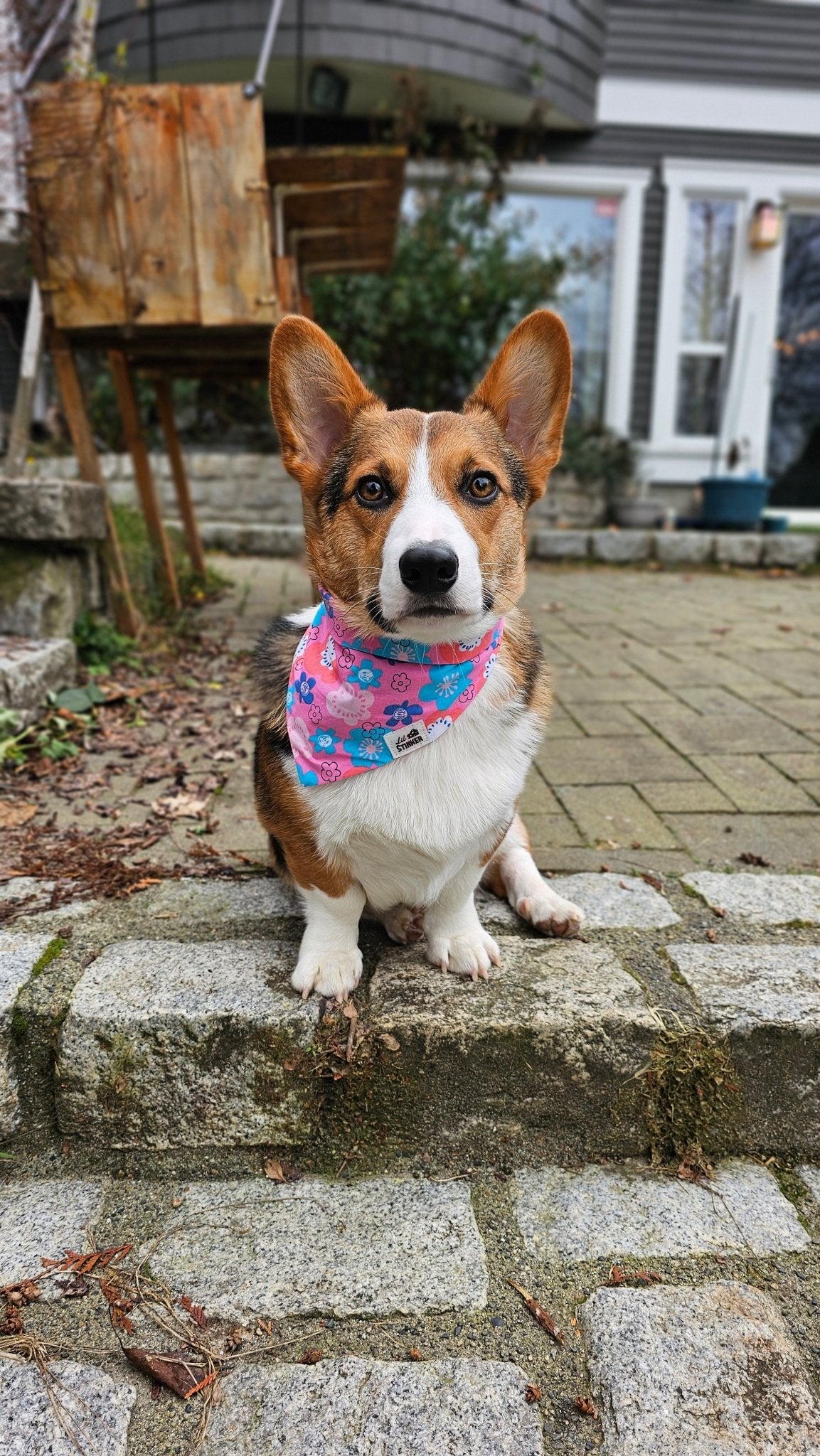 Flower Power Bandana - Lil Stinker Apparel