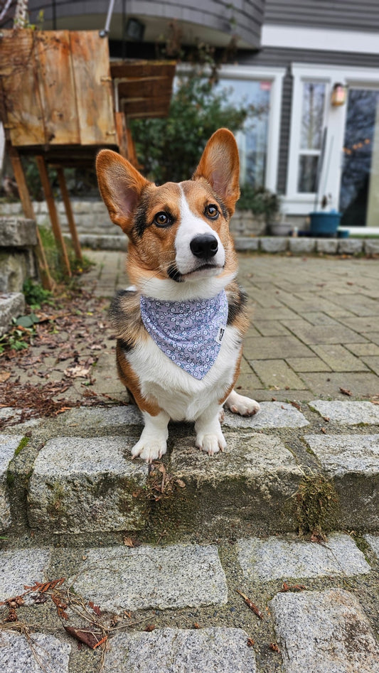 Grandma's Favourite Bandana - Lil Stinker Apparel