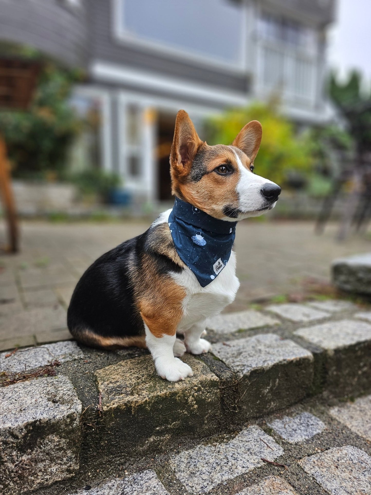 I Don't Believe In Humans Bandana - Lil Stinker Apparel