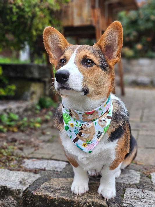 Lazy Lovely Bandana - Lil Stinker Apparel