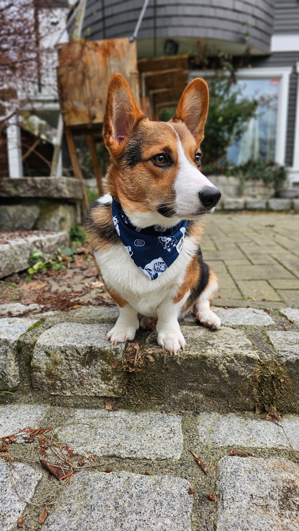 Lucky Cat Bandana - Lil Stinker Apparel