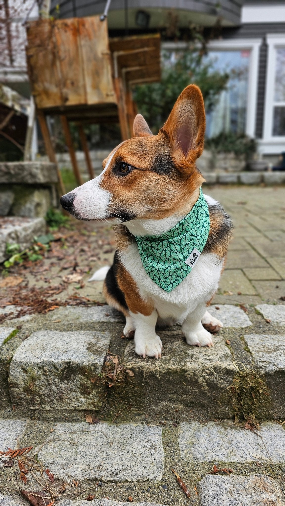 Minty Fresh Bandana - Lil Stinker Apparel
