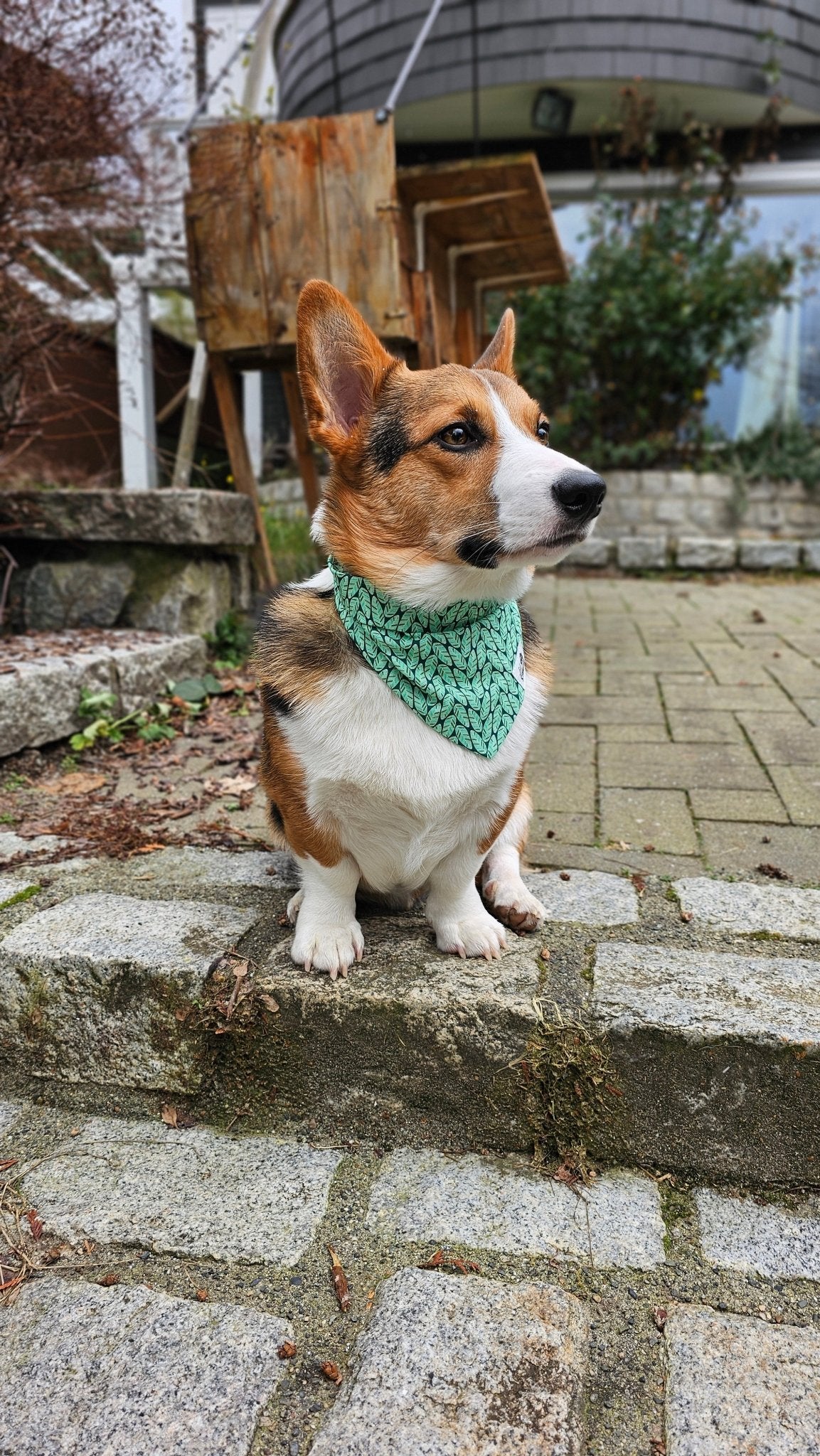 Minty Fresh Bandana - Lil Stinker Apparel