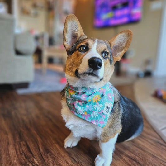 Green Daisies Bandana