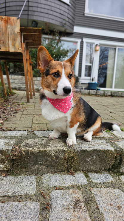 Pink Stars Bandana