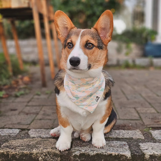 Rainbows and Smiles Bandana