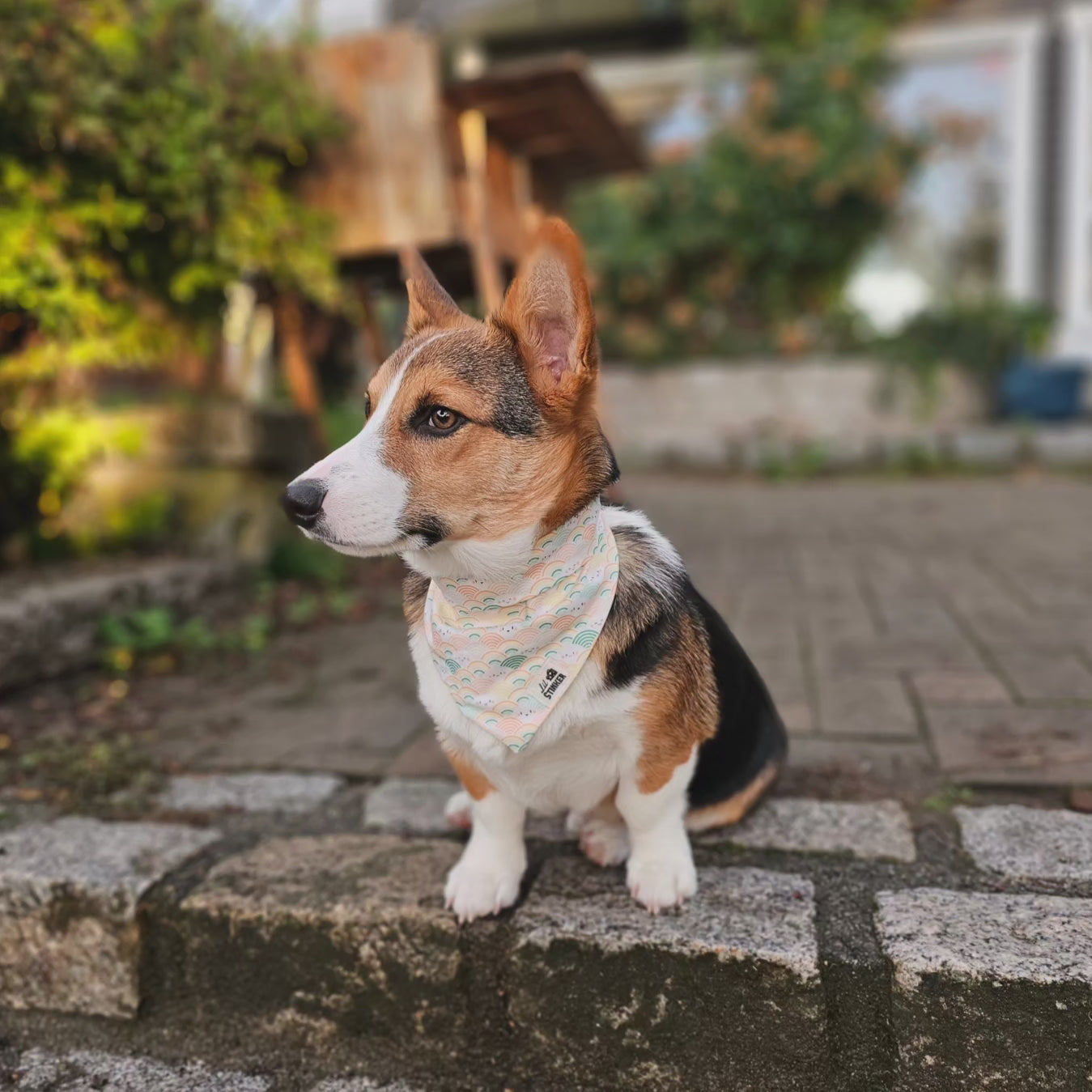 Rainbows and Smiles Bandana