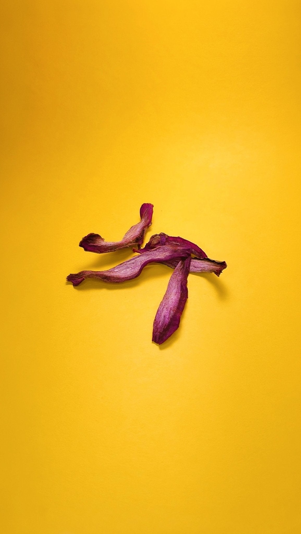 Sweet Poo - tato Chews - Lil Stinker Co.