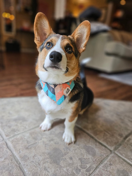 Vintage Rug Bandana - Lil Stinker Apparel