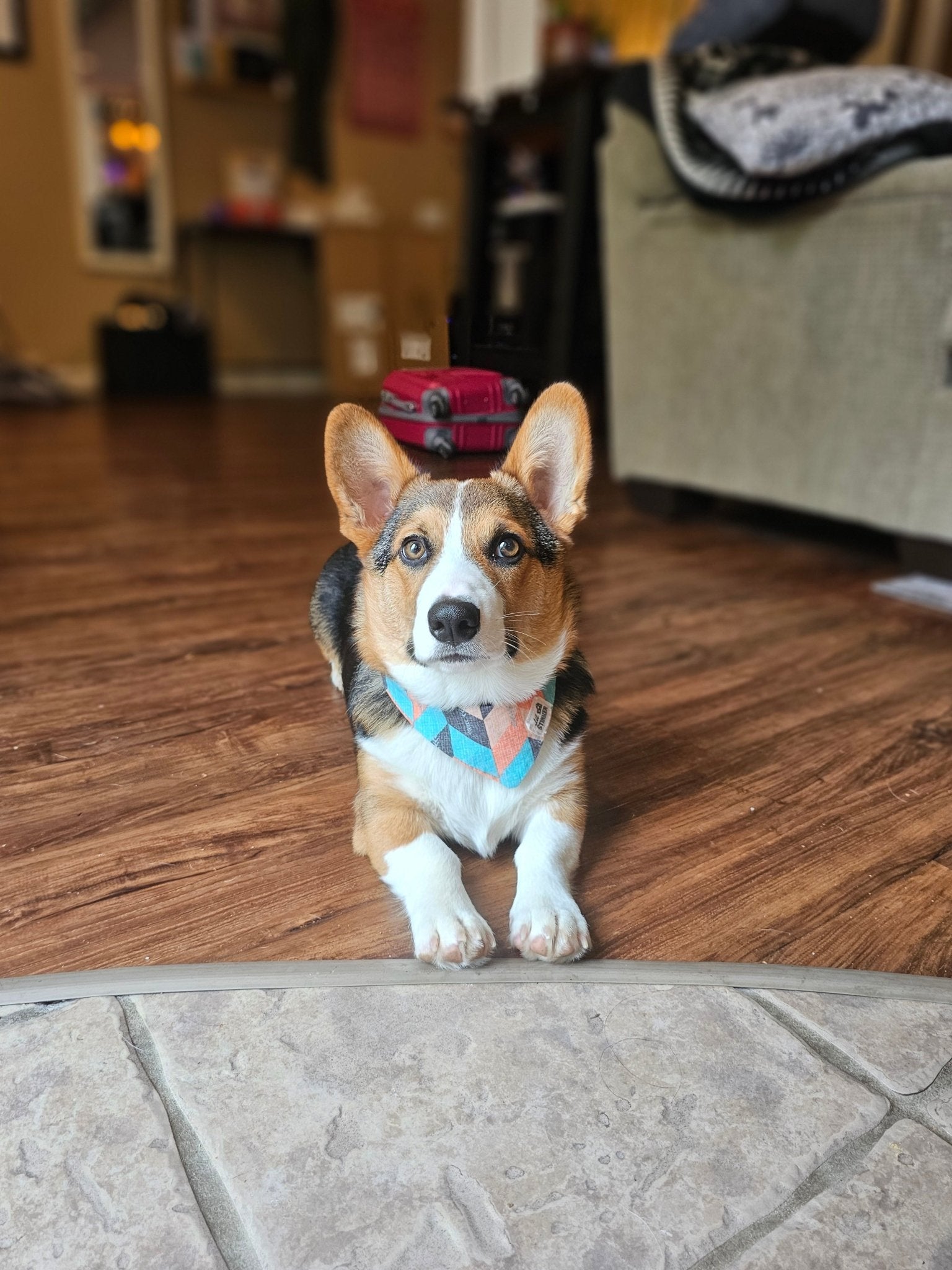 Vintage Rug Bandana - Lil Stinker Apparel