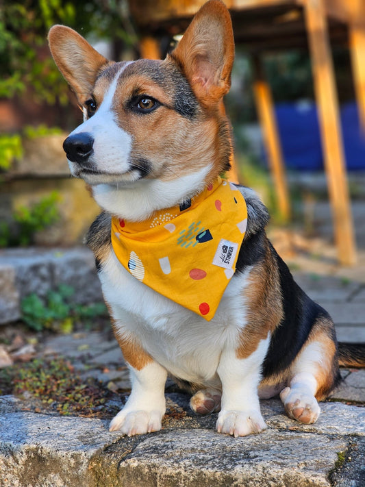 Yellow Like Sunshine Bandana - Lil Stinker Apparel