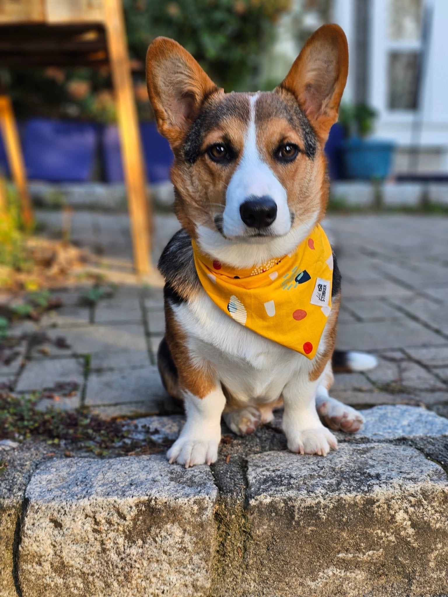 Yellow Like Sunshine Bandana - Lil Stinker Apparel